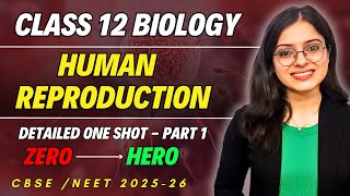 Human Reproduction  Class 12 Biology Chapter 2  Detailed One Shot Part 1  CBSE  NEET 2025 [upl. by Ahseet]