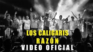 Los Caligaris  Razón video oficial [upl. by Ahsieyt]