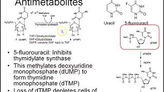 Cytotoxic chemotherapy 1 alkylating agents and antimetabolites [upl. by Ivetts361]