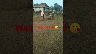 Wait for end  laborious farmer regular update video for you like share and subscribe to my channel [upl. by Isacco]