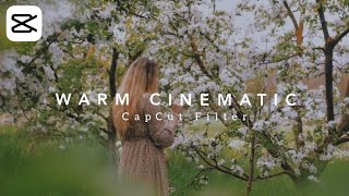 warm cinematic capcut filter tutorial  cinematic capcut filter editing [upl. by Kathryne]