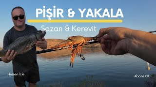 Yakala Pişir Sazan Avı Taktik ve Teknikleri Tam Keyif Yapmalık Mera  Keyif Huzur Mutluluk [upl. by Ahseikram]