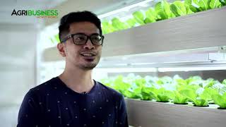 Farm in your Garage through Hydroponics Vertical Farming [upl. by Ytirahc110]