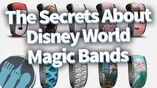 The Secrets People Dont Know About Disney World Magic Bands [upl. by Mickie518]