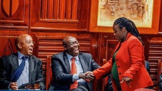 FILIBUSTERING Lawyer surprises 3 judge bench with tough English Gachagua facing Senate [upl. by Suirred724]