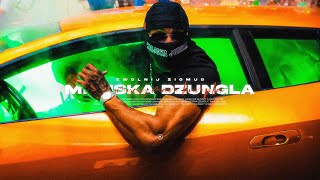 ALBERTO  MIEJSKA DŻUNGLA VIXA feat matioskyprod jebejsie [upl. by Nivrac723]