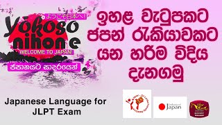 Yokoso Nihone  Welcome to Japan  Japanese Language for JLPT Exam  ඉහළ වැටුපකට ජපන් රැකියාවකට [upl. by Adnalu353]