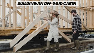 Offgrid cabin build Big changes on our 3 acre homestead in Wales [upl. by Washington]