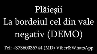 Nicolae Gribincea amp Plaiesii  La bordeiul cel din vale negativ DEMO [upl. by Earized920]