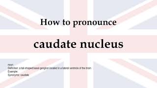 How to pronounce caudate nucleus  meaning [upl. by Eillac]