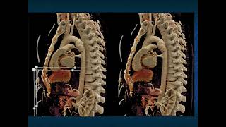 You Make the Call Freestyle Radiology Quiz 12 [upl. by Pammie]