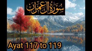 Quran TilawatTarjuma and Tafseer Surahe Al Imran Ayat117 to119 audio by Maulana Abdul Habib Attari [upl. by Eggleston]