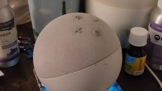 Tricks Ive taught my Alexa Echo Dot to do [upl. by Ronalda]