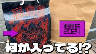 悪魔は不幸をもたらすものか？それとも…！悪魔袋2024 開けてみた [upl. by Rennoc]