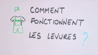 Comment fonctionnent les levures [upl. by Schreiber834]