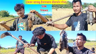 ANJOR MWNKAO JWBLAIBAI सेंग्राफोर गोजा JAOSI HWILAIBAI  Bodo Vlogs [upl. by Kinom253]