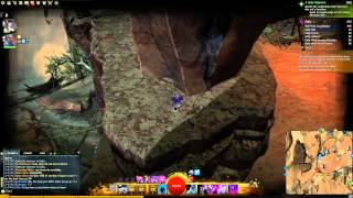 GW2 Dry Top Prospect Valley Jumping Puzzle and Dive Master Guide [upl. by Alul]