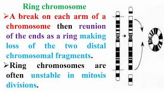 Ring Chromosome Meaning [upl. by Redneval]