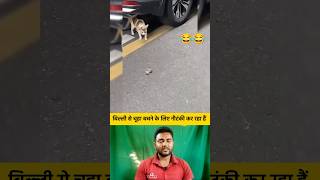 बिल्ली से चूहा बचने के लिए नौटंकी कर रहा हैं 😂😂 shorts cat rat catshorts funnyshorts [upl. by Clementius]