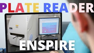 📠 Perkin Elmer ENSPIRE PLATE READER SETUP For ELISA ABSORBANCE LUMINESCENCE FLUORESCENCE Assays [upl. by Tereve]