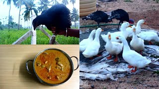 Country chicken Kuzhambu prepared by Ramani  நாட்டுகோழி குழம்பு [upl. by Ahsilram263]