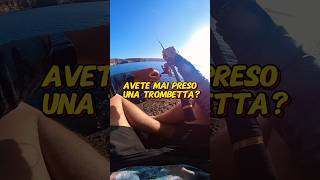 Avete mai preso una trombetta🎺🐟spinningfishing fishing pescainmare [upl. by Melbourne]