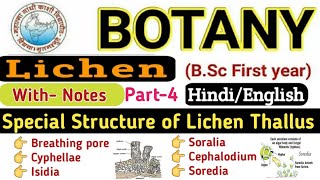 Special Structure of Lichen ThallusSorediaIsidiaCyphellaeCEPHALODIUMSoraliaBSc 1st year Lichen [upl. by Odinevneib]