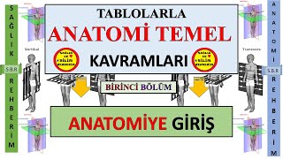 1 Anatomi Temel Kavramlarına Giriş \ Anatomik Duruş  Anatomik Eksenler ve Düzlemler Tablolar [upl. by Atla]