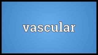 Vascular Meaning [upl. by Clercq]