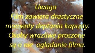 Kapusta kiszona jak zrobić na obiad [upl. by Oisor86]