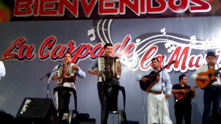 El Conjunto Ivoti en Vivo La Carpa de la Musica 2017 [upl. by Asemaj]