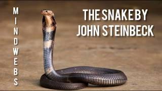 AudiobookShortStory The snake by John Steinbeck Mindwebs by Mr Hanson [upl. by Kiker]