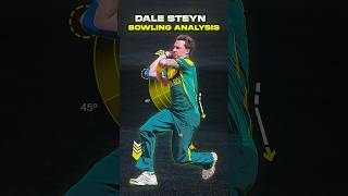 Dale Steyn Bowling Action Analysis❓One of the GOAT❓ [upl. by Saunder188]