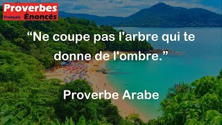 Ne coupe pas larbre qui te donne de lombre  Proverbe Arabe [upl. by Elleved370]