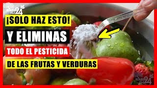 MIRA COMO LIMPIAR LAS FRUTAS Y VERDURAS DE PESTICIDAS ➜ Conoce este Truco Casero [upl. by Yerffe]