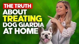 What you REALLY need to know about treating dog GIARDIA at home [upl. by Amo]