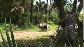 Part 2Jimmy SitesSeminole Prairie SafarisOkeechobee Outfitters2010 [upl. by Mayda]