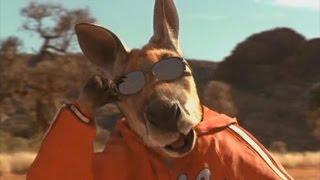 The entire Kangaroo Jack movie but it is just kangaroos [upl. by Annnora971]