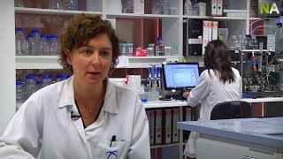 NA Ana Camacho Internationale Molekularbiologie zur Diagnose von Infektionskrankheiten [upl. by Oralie]