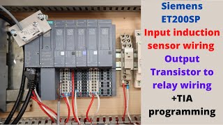 Siemens ET200SP Input induction sensor wiring and Output transistor to relay wiring TIA programming [upl. by Arramas653]