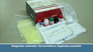 IDEXX Rapid Visual Pregnancy Test Training in German [upl. by Deane]