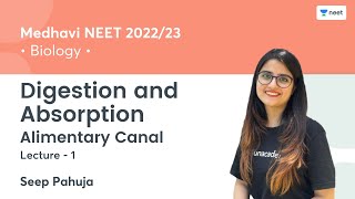 Digestion and Absorption  Alimentary Canal  L1  NEET 202223  Seep Pahuja [upl. by Nomra]