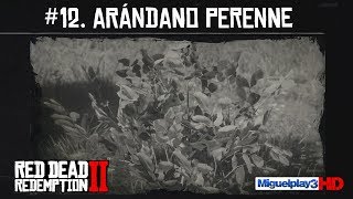 Localización Arándano Perenne de Invierno  12Compendio Plantas  Red dead redemption 2 [upl. by Yengac]