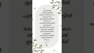 🎶Kovilil Pular Velayil Lyrics 🤍🎶 Sreeraagamo song lyrics lyricalstatus malayalamlyrical shortfeed [upl. by Langelo]