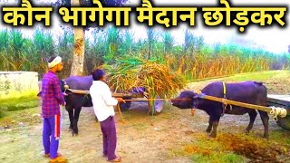 कटडे का डर खत्म करने का महामुकाबलाpart 1 [upl. by Nail]