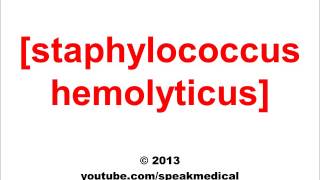 Pronounce Staphylococcus Hemolyticus  SpeakMedical [upl. by Asehr]