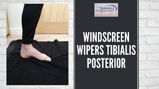 Windscreen Wipers Tibialis Posterior Technique video [upl. by Kos]