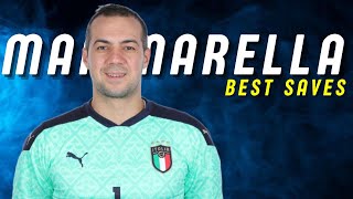 Stefano Mammarella  Best Saves [upl. by Ericksen7]