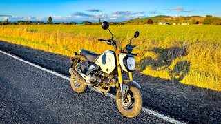 Epic Sunset Ride on Grom • After Lawn Chores  TheSmoaks Vlog3241 [upl. by Onahpets]