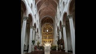 Basílica de San Pedro basilica monumentos vaticano [upl. by Ernestine731]